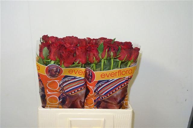 0x1D5BA7CAF5BDB7DDBA18DB18FF75536C6025B2FD