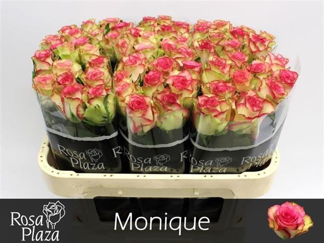 0xD38375D8B0C96547B437D967948A52FE959DBAB8