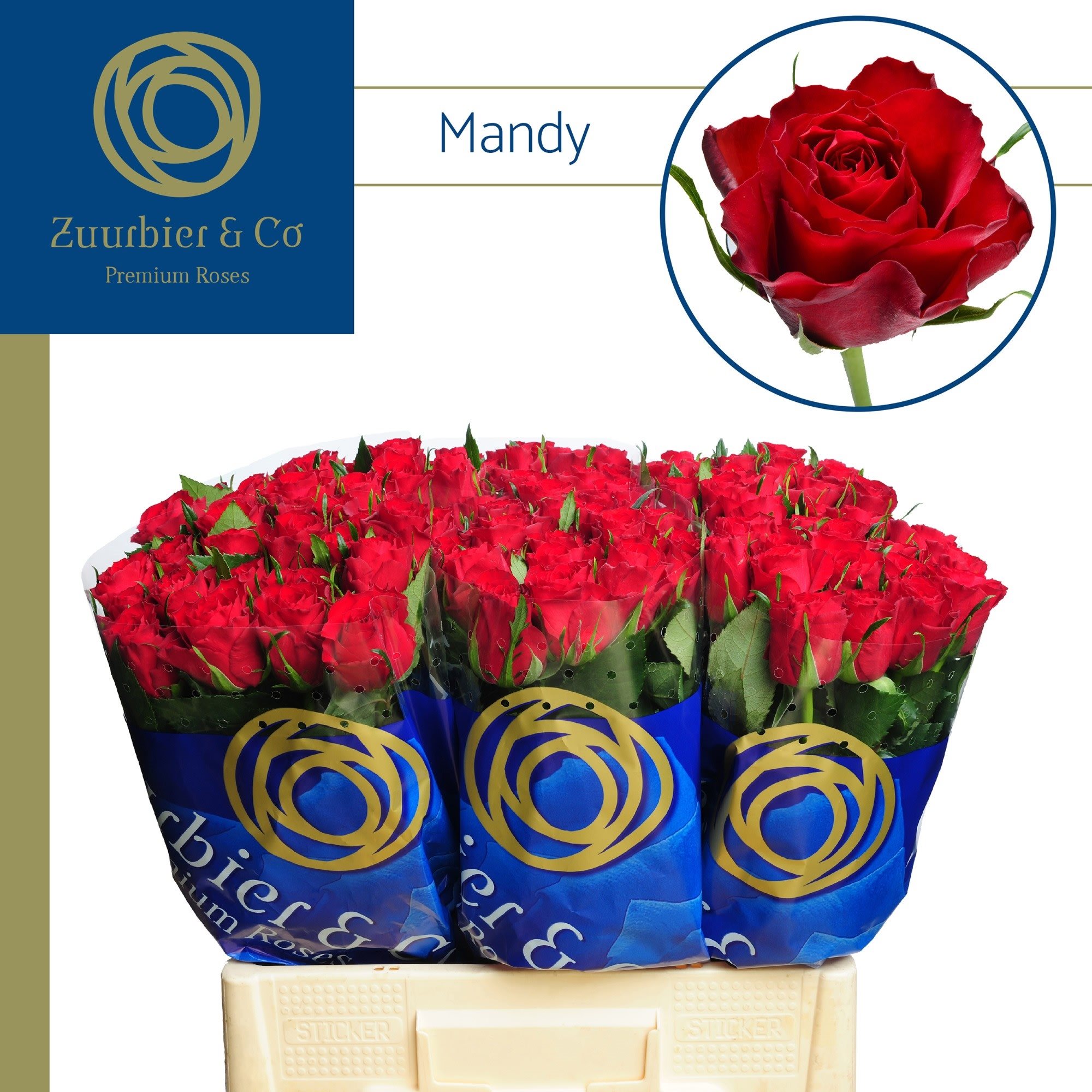 114944 60FTC6-2780247