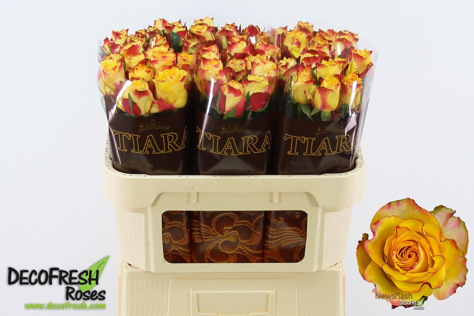 1149691942-A-3286285