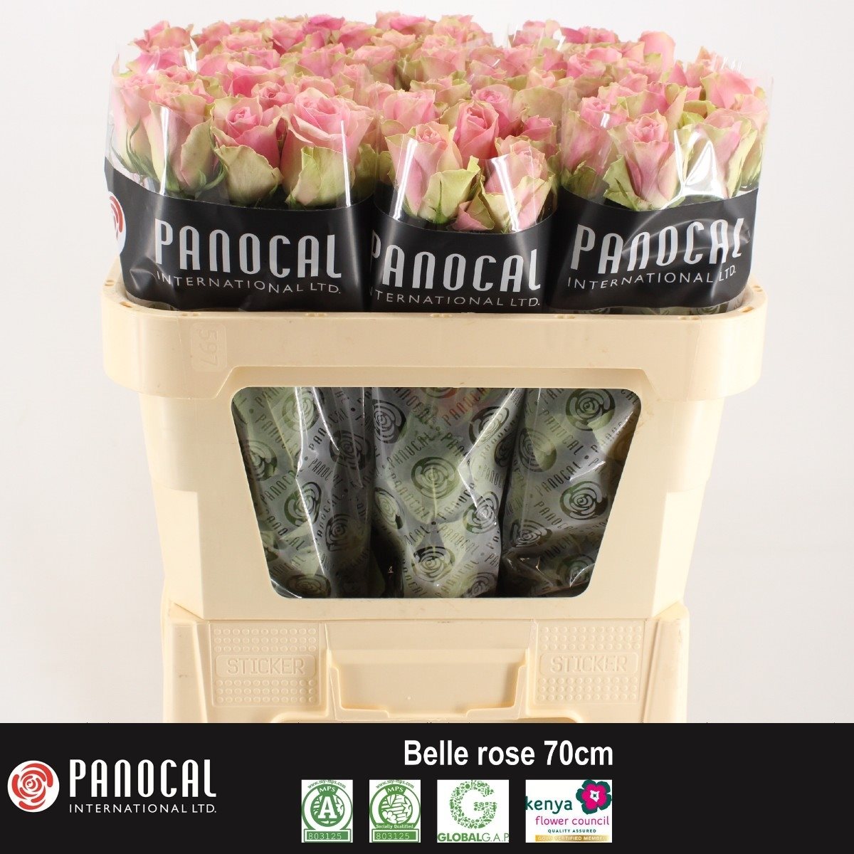 R GR BELL R70-1760750