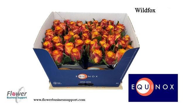 0x380CDCDFC3FD320B83D03034C7B0CF4ADF90879C