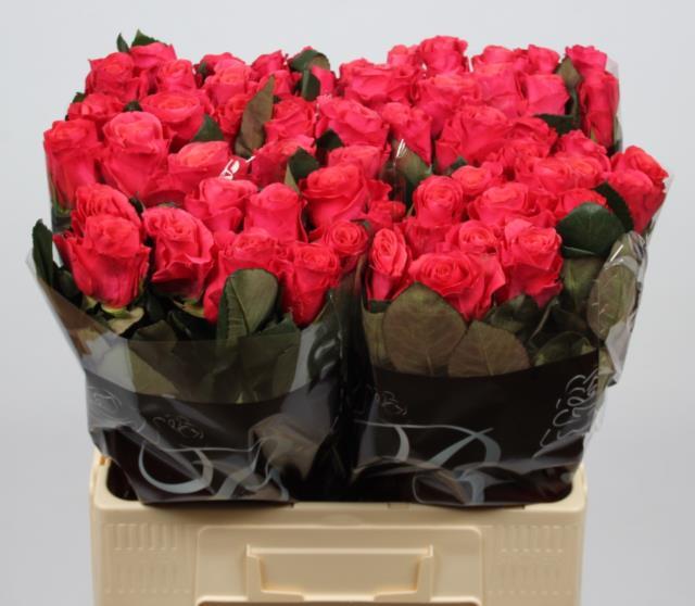 0x8E3993E62BF829BB209C9F69070B7B65F2BFBED1