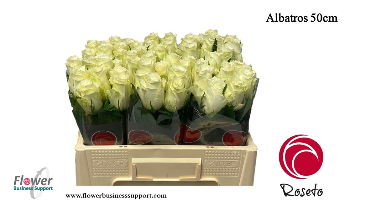 0xA666AE71BD8BA50DDF0661E625E1B12DEB9CF196