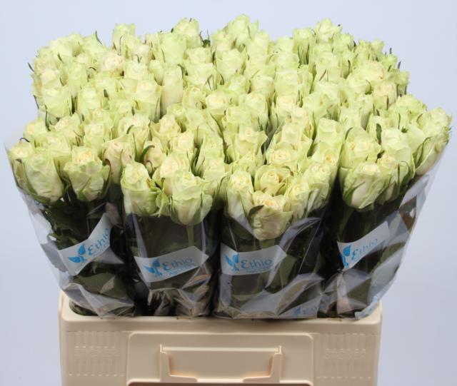 0xA751A3B6494FA059EA1EF2631B199F3584316C99