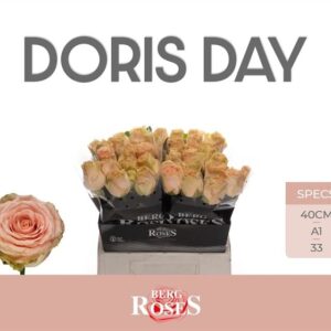 Doris Day 40cm