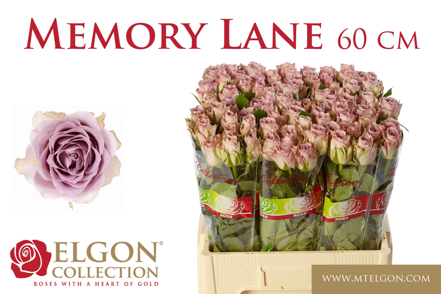 34ec633b7d7c8-3368560