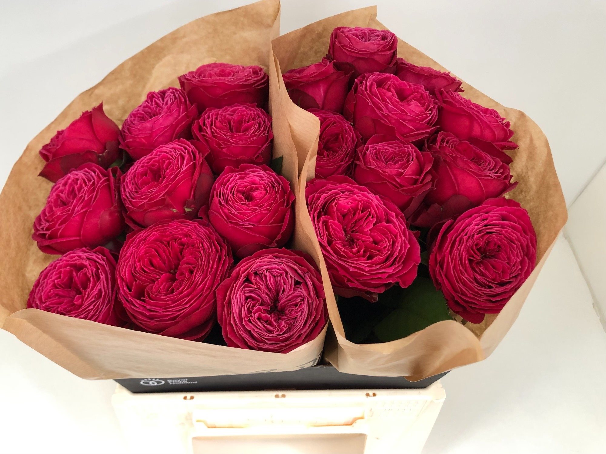 Just More 40-2546400