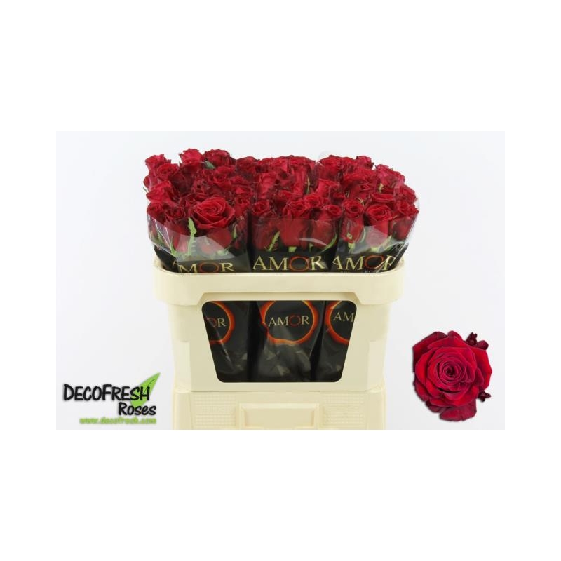 RABB7-LIVE_fotos-0x8A8D9895F2472045D1AC197FABF11128A742CD4B