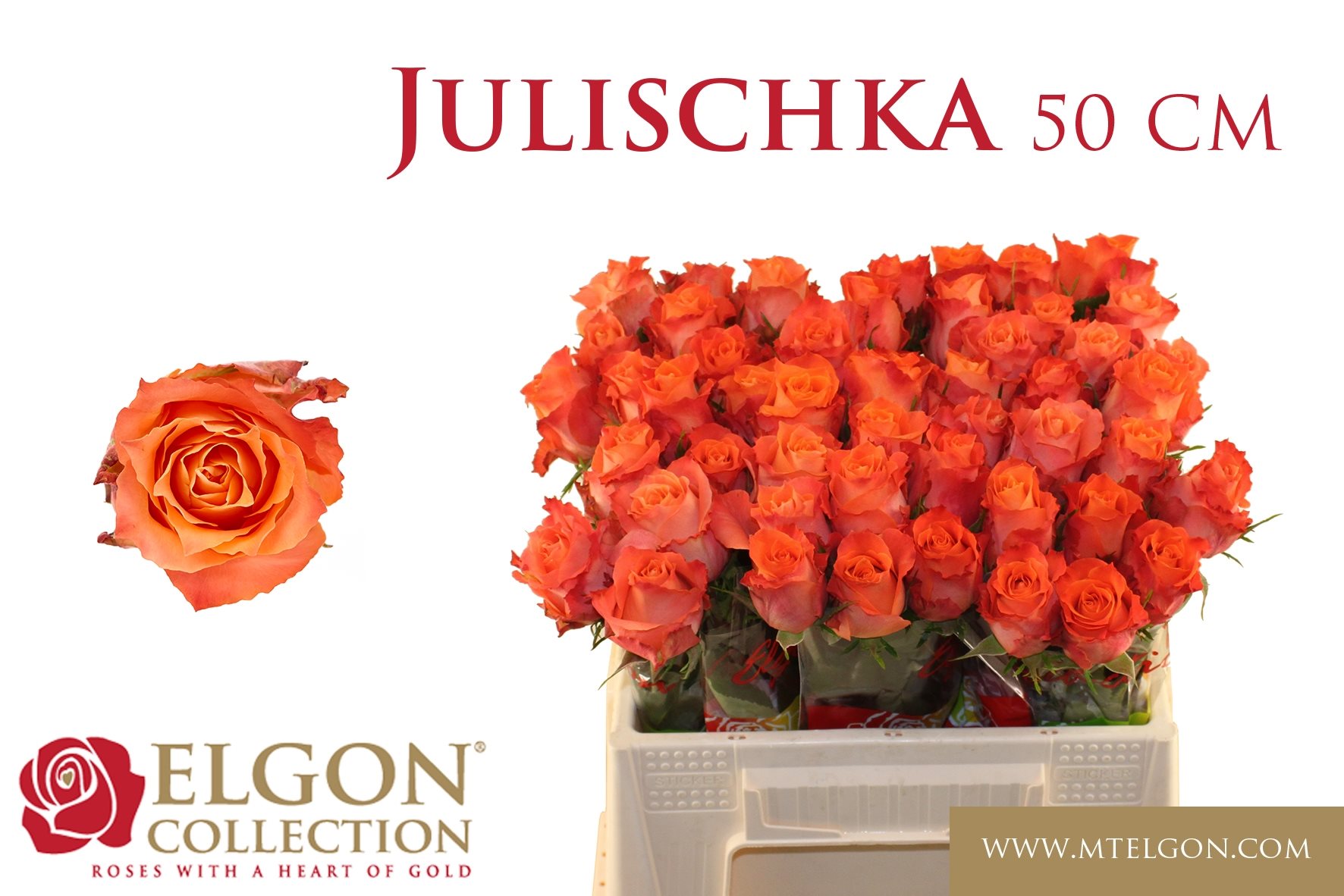 6bc893b1185fe-3391507