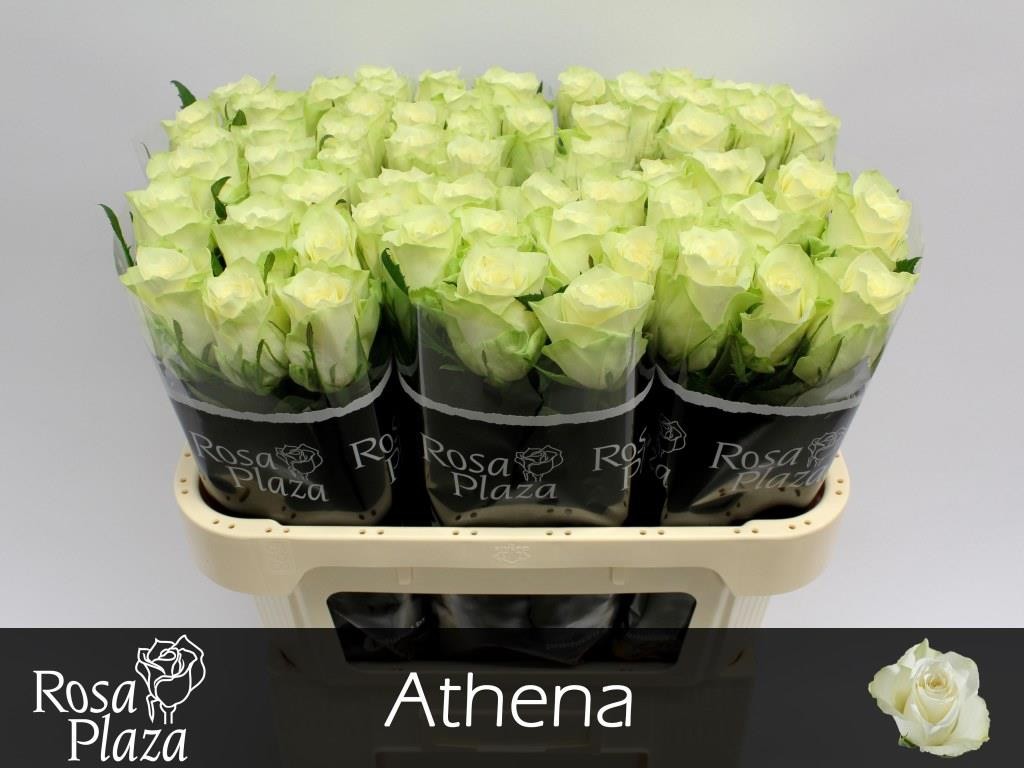 0x6F72CBFA89A625257C9DF2A4916F0F35E5DF4143