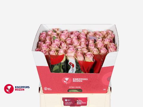 0xD47B86AA2265EA08501828C1F6A1E10F7D6F68B2