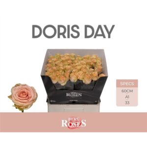 Doris Day 60cm