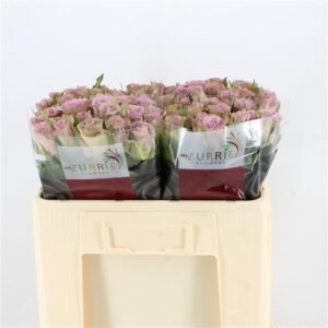 Samantha Bridal 60cm