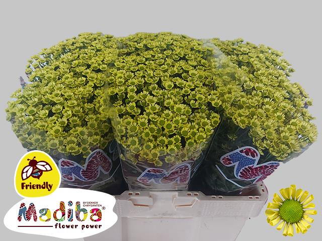 0x4798125C79E3FBEC8DCB28017B23895F99A7690A