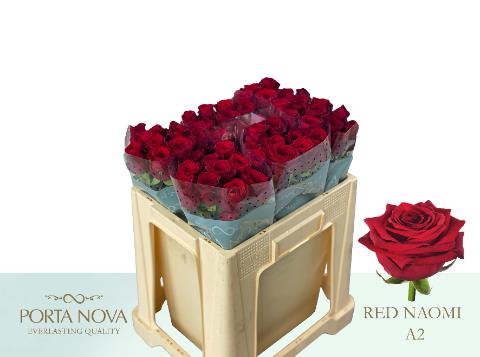 0x406C4F658D10F29C69CC646C93E1EDC260C1CDC5