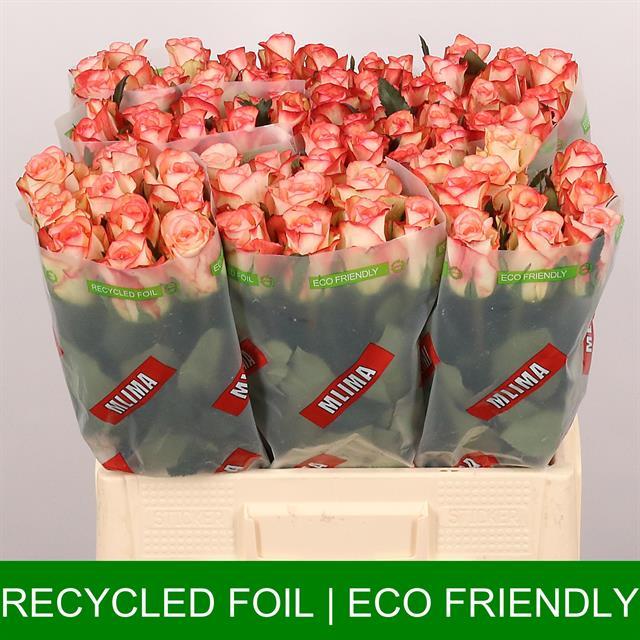 0x214DF5A3C8CD94E8DA0260EE21F45E7D93490654