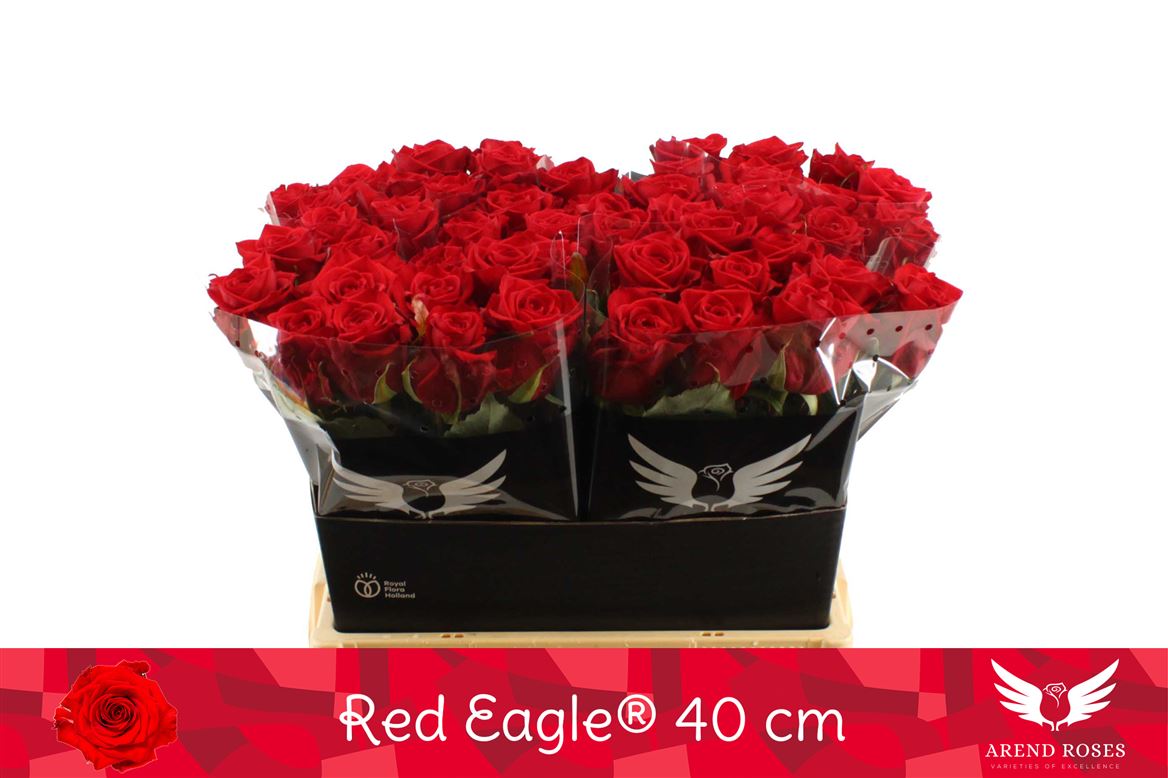 0x5B6E2B19E2BCD52312E3F7C877219F8A815F4CBC