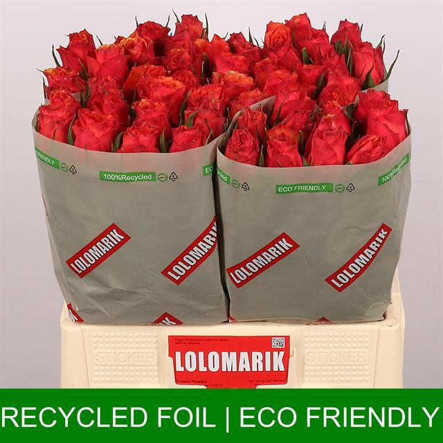 0x672867C21549CAEB955D3DF486CDF4C256FC5198