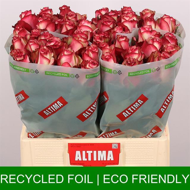 0x9CED0EB3775777E96843EDF144D1F7AD9B226FFB