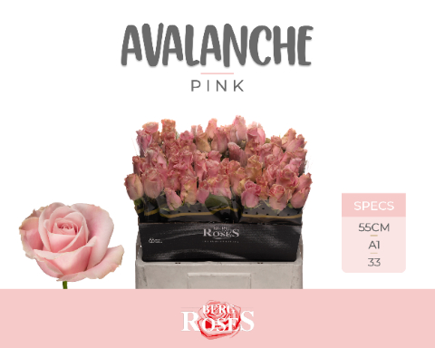 0xAB58EA5310A626635E704AF2651BB0F446D92A90