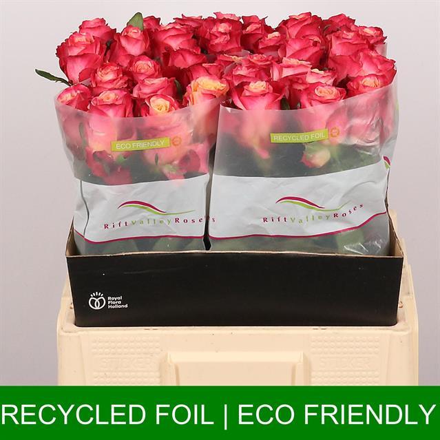 0xF5E03B7A5D142B2A392CB708A47D00B8159B1B57