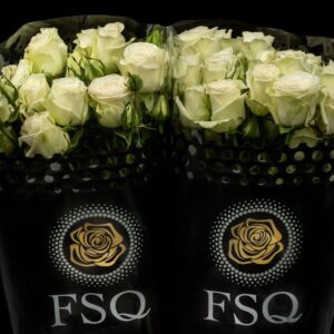 Polar sensation 70cm