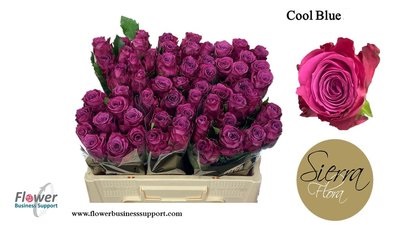 0x13642BA6039D0C7CBD6D24A68720FFA4256E6835