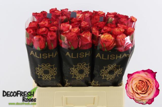 0x2C1FDB1BB5E499660A0FCFBA2043CD1656EBB4D3