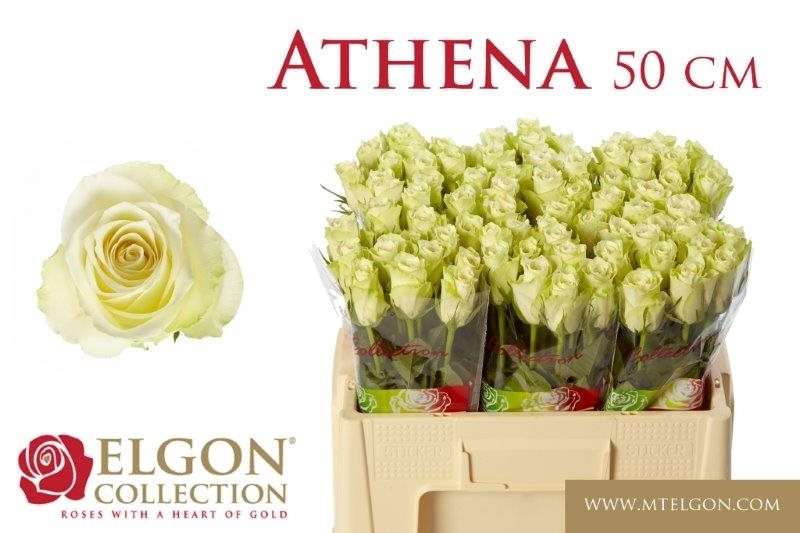 02008769d0e54-3255844