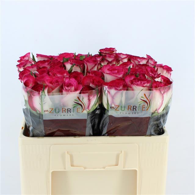 0xAD9C7645E2E0596923D5453990893B9F6F41C65C