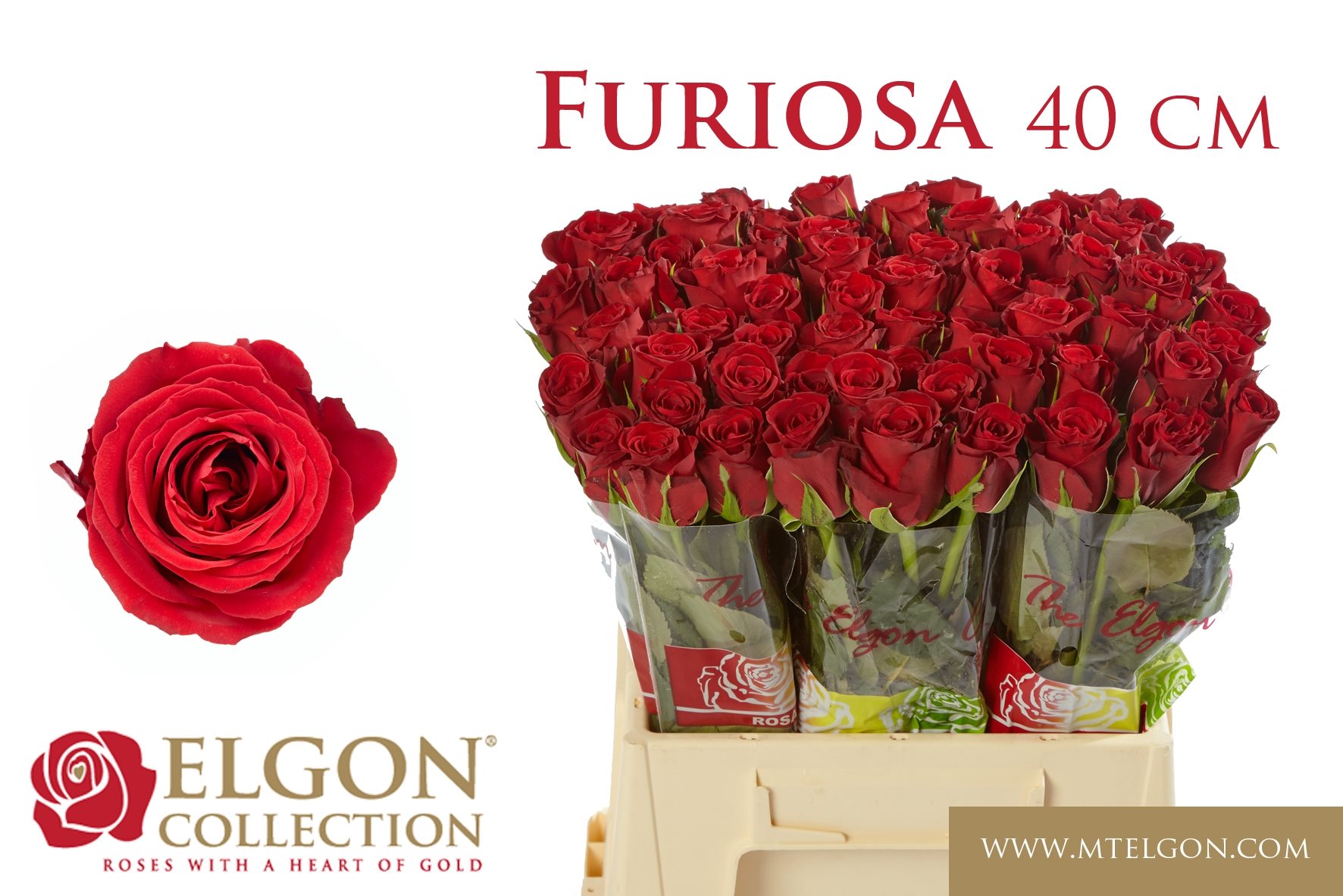 293dfc4a7dd28-3383230