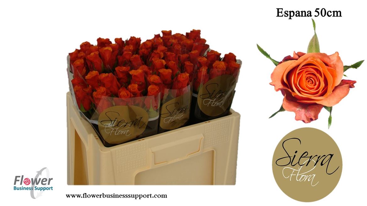 0x29CA526BE5536277441DFF27D5B4EB56345DBF9A