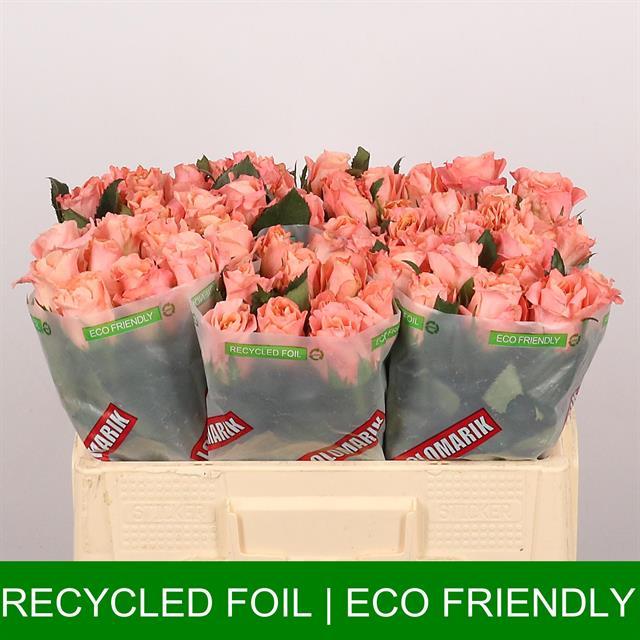 0xC704A0A9BCFF286FD4A6996BF9893FAE5C072413