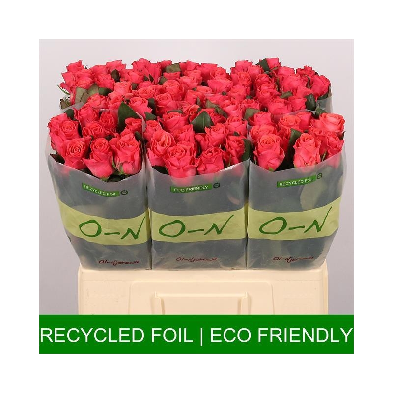 RPIN6-LIVE_fotos-0x3FFBD766C807952F1DDB9226C0455F3EA0F560BB