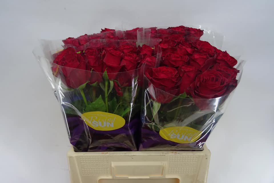 68295124_2306923799355504_5988787786340106240_n