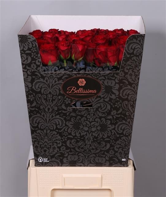 R GR MAD R80-1497097