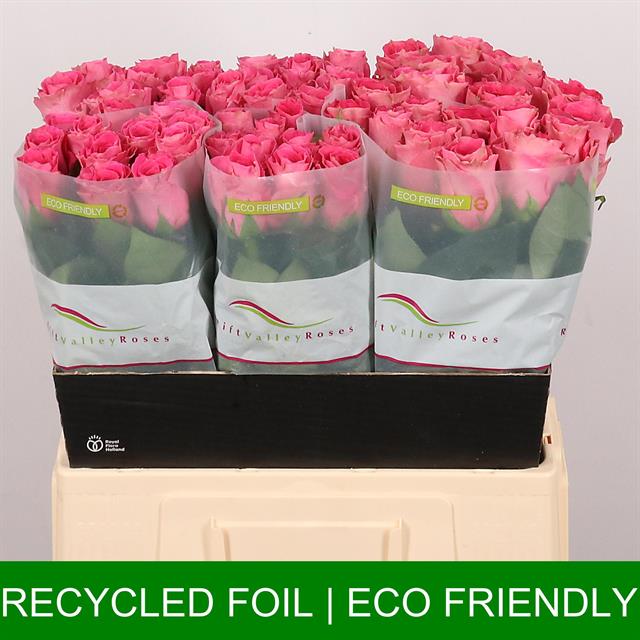 0xC6A12EE3FC9ACA2855998F8E3AC1787B27FD2A46