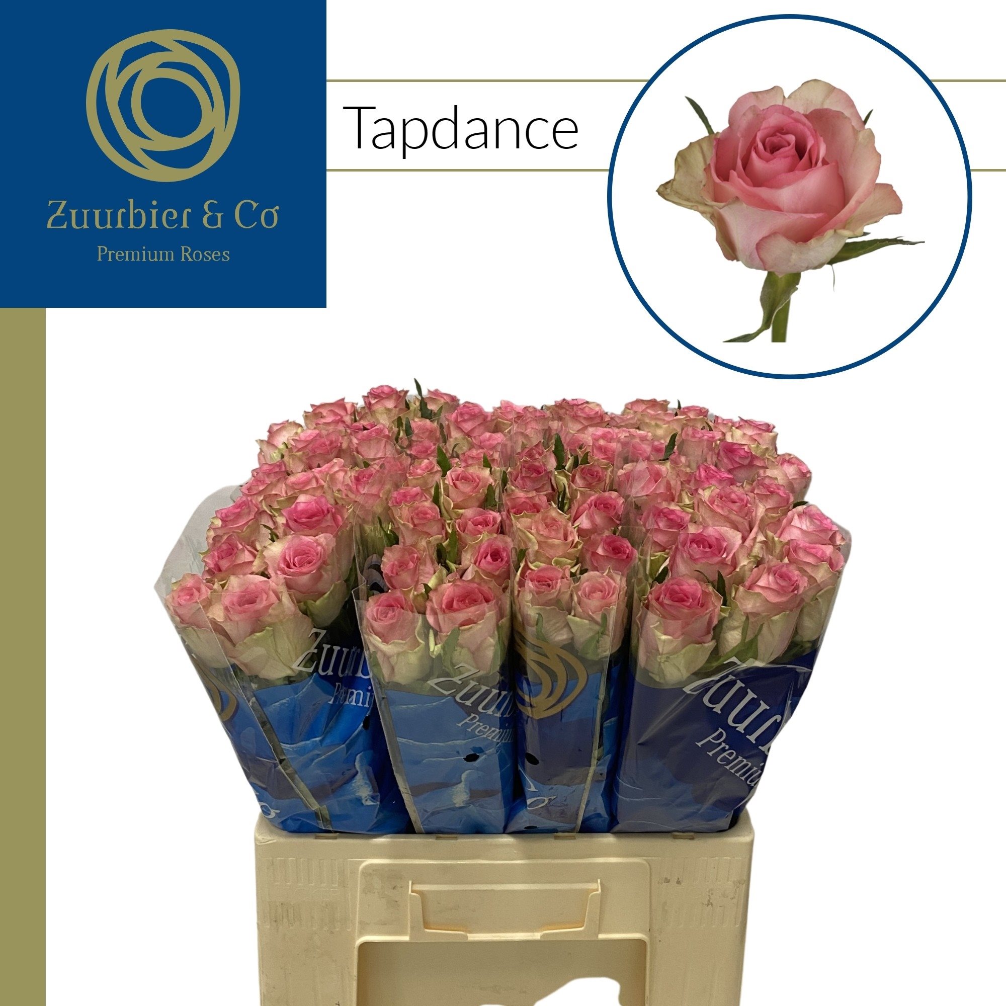 129089 60 ZAM-4979506