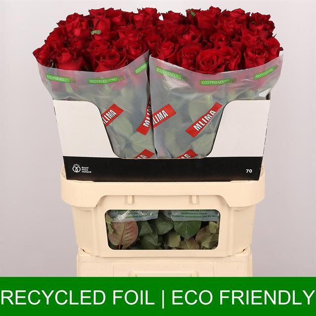 8caef1cd-ddde-3042-a97c-b81b18ba4ad4