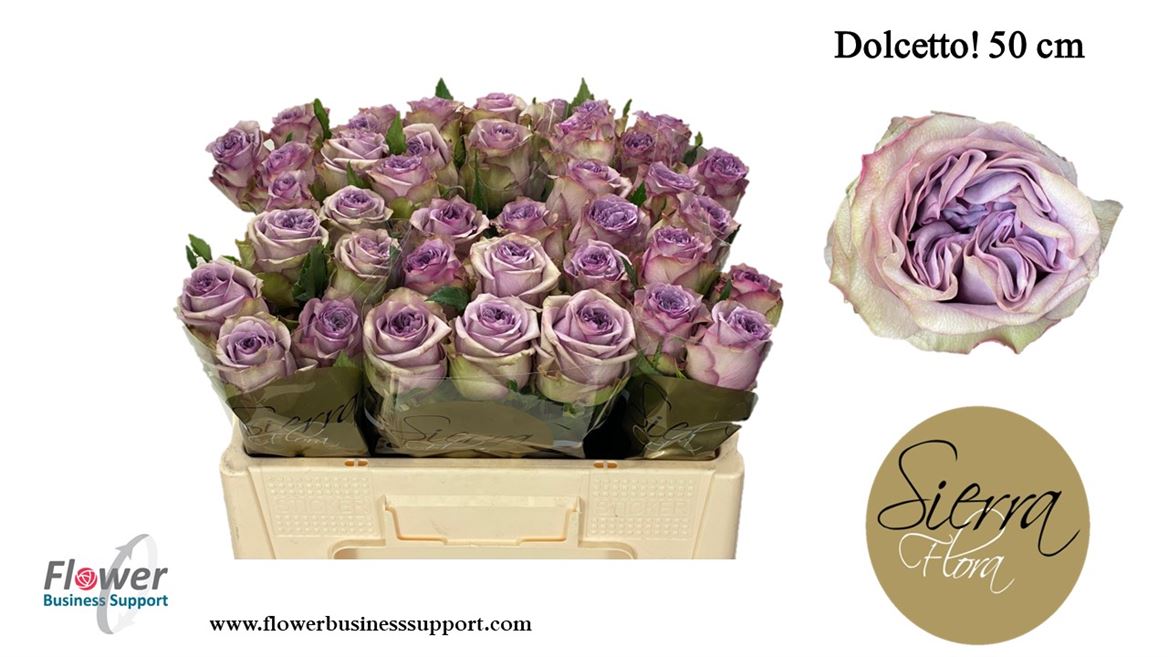 0xEDC7AFFEA874BCDBFA165E4DDA8794921F0A83BD