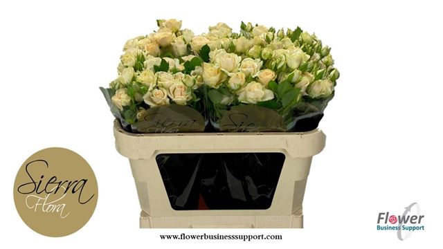 0xD4C8F160F1B0757868612384692AD16E13905EDF