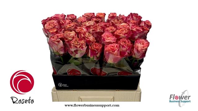 0x16E3E1C33FB888E7F122682FA68A431519844D09