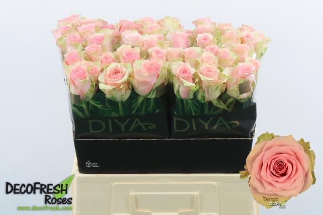 0xFFF60C013612756C6D737C435421B89BC0DE9382