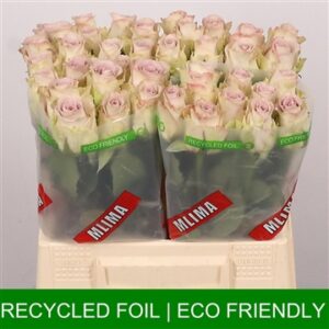 Silver Memory Lane 40cm