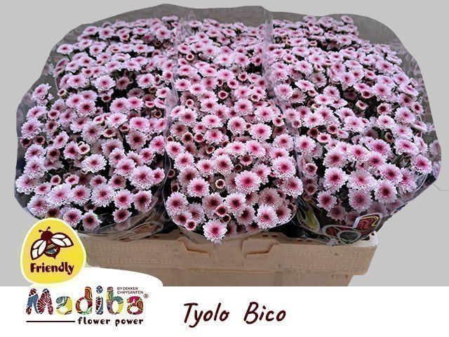 0xB187A2FB97CEDAD5AB1F9BF1032FCB4917639AA4