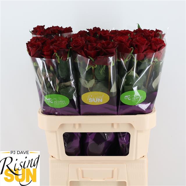 da1b1569-01f0-35e2-a4c7-59df8e51883c