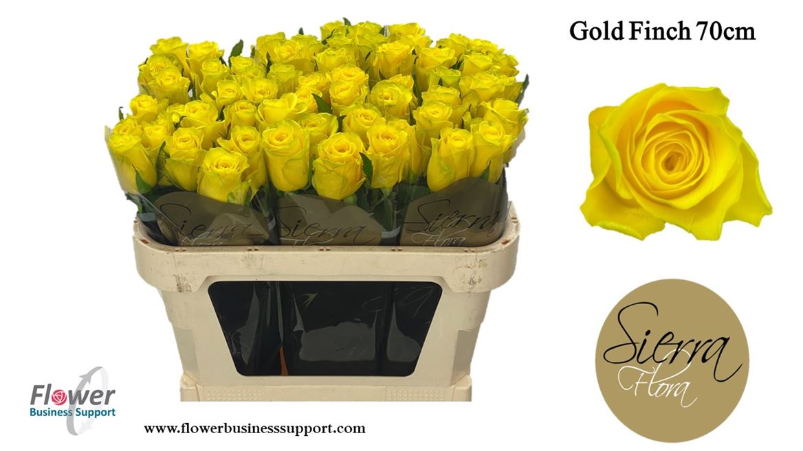 0x1481D9A71DC64A6438537C76326F3C60D7178112