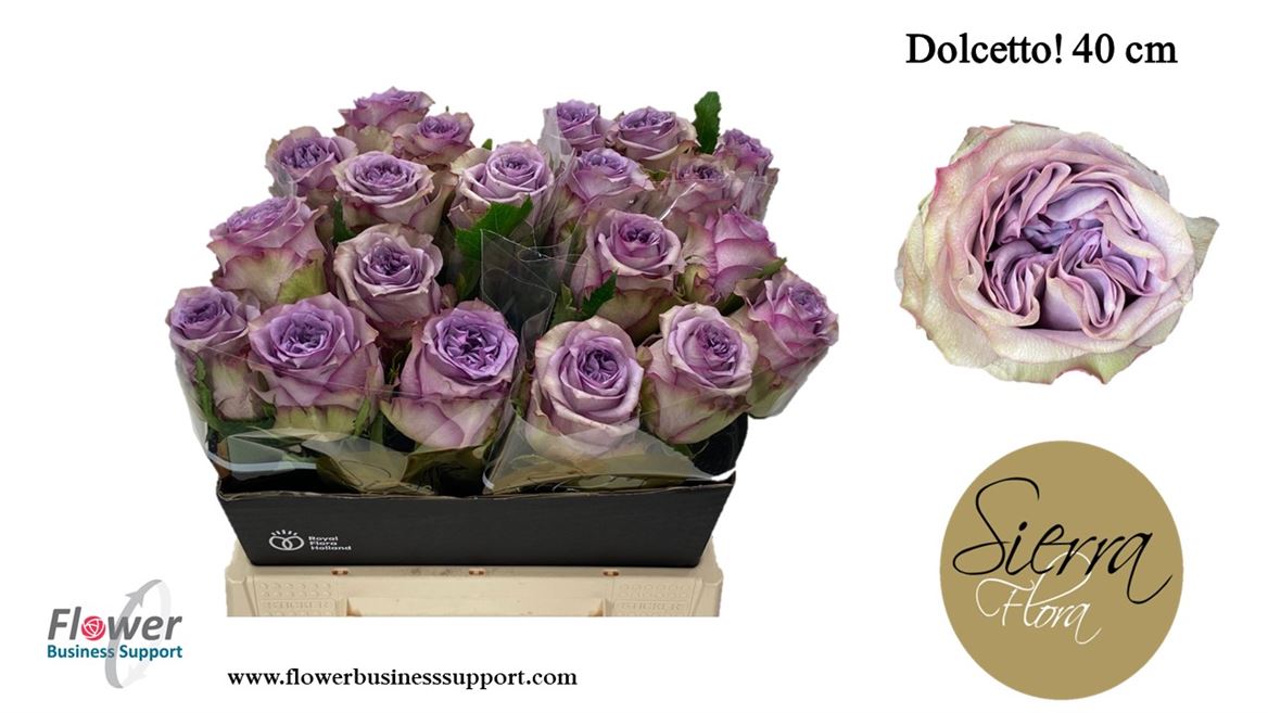 0x5C0E683DE6BB4FBA5A8E8D32E639EE51B1004430