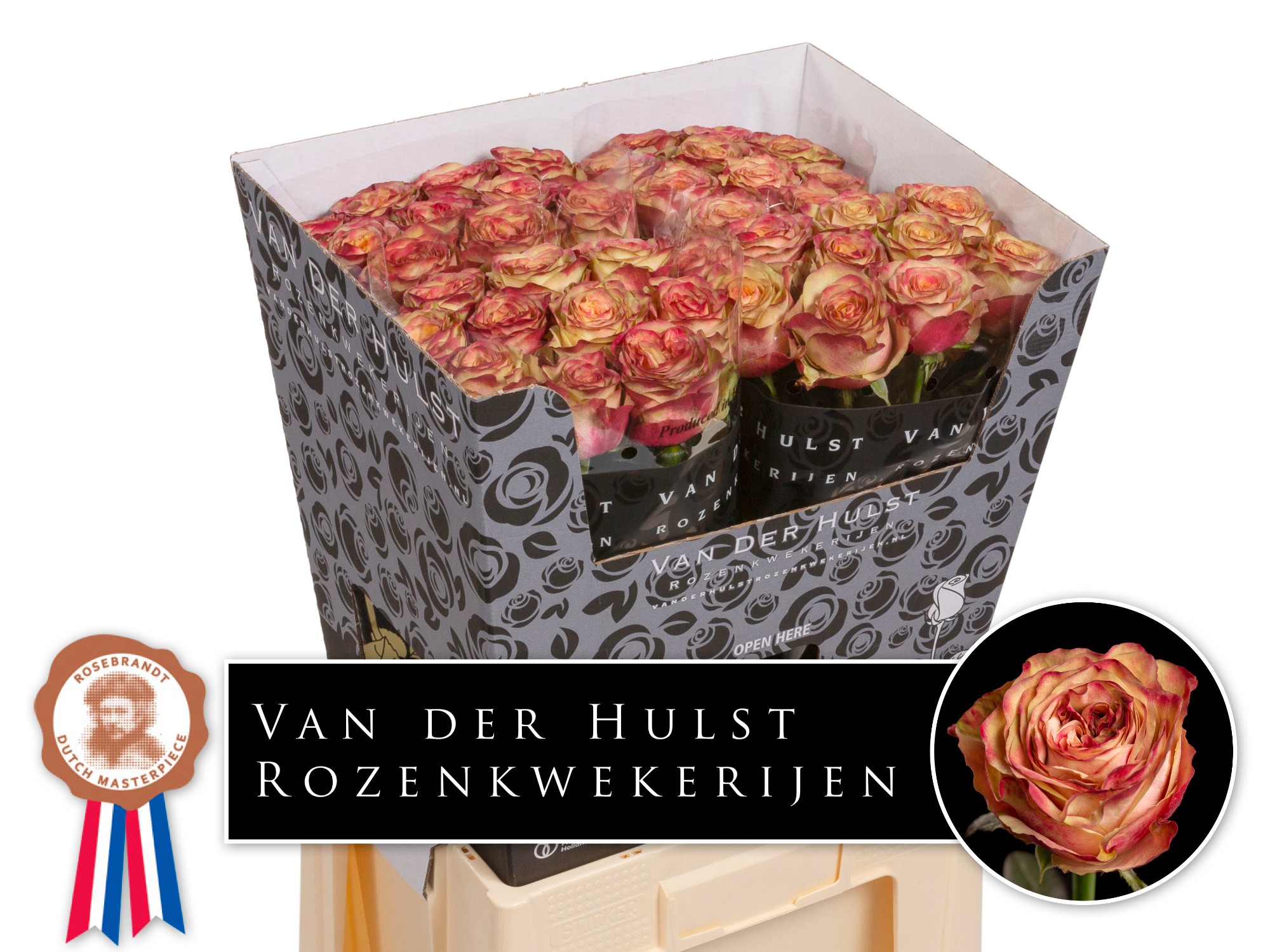 34542aeb-3fb1-4fa7-b93f-a4e932010792